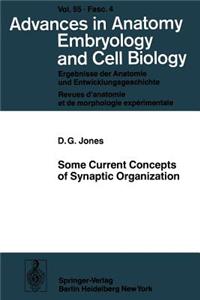 Some Current Concepts of Synaptic Organization