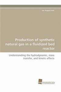 Production of Synthetic Natural Gas in a Fluidized Bed Reactor