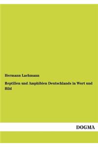 Reptilien Und Amphibien Deutschlands in Wort Und Bild