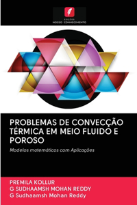 Problemas de Convecção Térmica Em Meio Fluido E Poroso