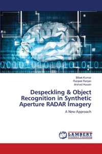 Despeckling & Object Recognition in Synthetic Aperture RADAR Imagery