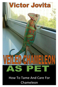 Veiled Chameleon as Pet