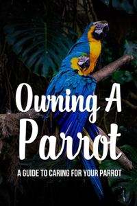 Owning A Parrot
