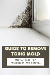 Guide to Remove Toxic Mold