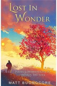 Lost In Wonder