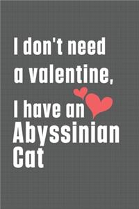 I don't need a valentine, I have a Abyssinian Cat