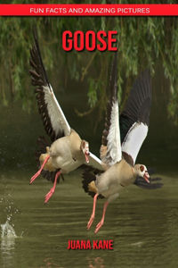 Goose