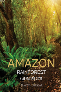 Amazon Rainforest Calendar 2021