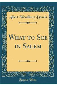 What to See in Salem (Classic Reprint)