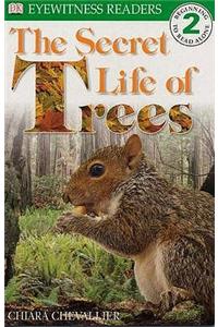 Secret Life of Trees