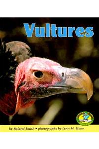 Vultures