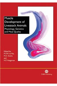 Muscle Development of Livestock Animals