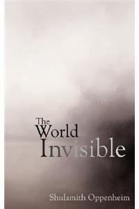 World Invisible