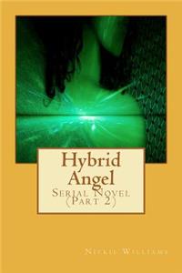 Hybrid Angel