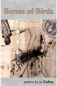 Bones of Birds