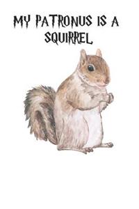 My Patronus Is A Squirrel