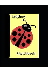 Ladybug Sketchbook