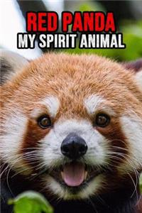 Red Panda My Spirit Animal
