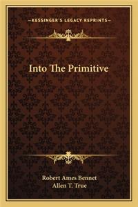 Into the Primitive