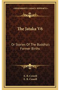 The Jataka V6