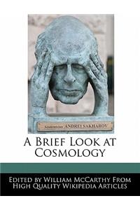 A Brief Look at Cosmology