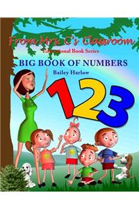 Big Book of Numbers