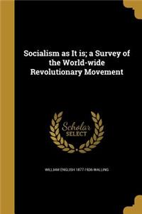 Socialism as It Is; A Survey of the World-Wide Revolutionary Movement