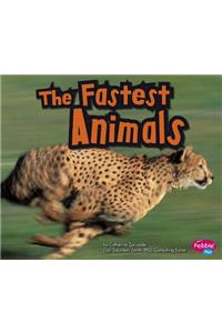 The Fastest Animals