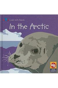 In the Arctic