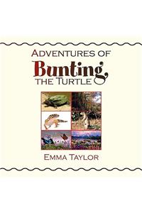 Adventures of Bunting, the Turtle