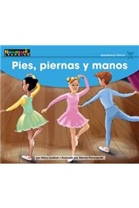Pies, Piernas y Manos