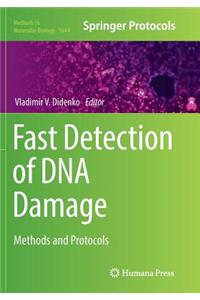 Fast Detection of DNA Damage