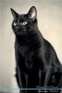 Birman Cat Affirmations Workbook Birman Cat Presents