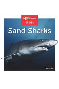 Sand Sharks