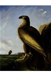 Washington Sea Eagle, John J. Audubon. Blank Journal