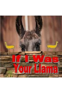 If I Was Your Llama