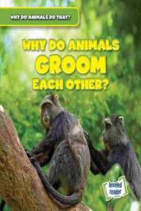 Why Do Animals Groom Each Other?