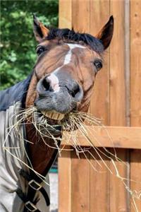 Horse Making a Funny Face Journal