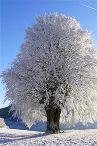 A Beautiful Tree Covered in Frost on a Snowy Winter Day Journal