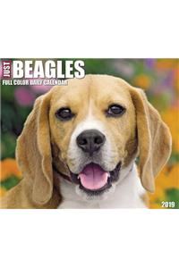Just Beagles 2019 Box Calendar (Dog Breed Calendar)