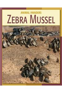 Zebra Mussel