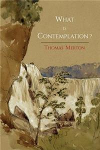 What Is Contemplation?