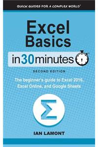 Excel Basics in 30 Minutes (2nd Edition)