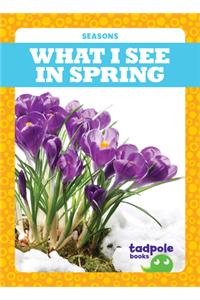 What I See in Spring