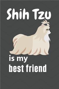 Shih Tzu is my best friend