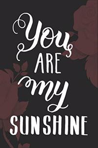 You Are My Sunshine Valentines Day gift journal