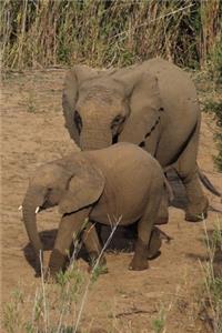 African Elephants in the Wild Journal