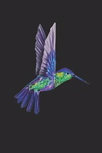 Kolibri