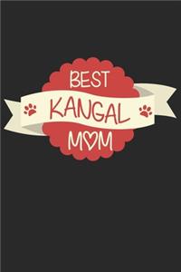 Best Kangal Mom
