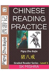 Chinese Reading Practice